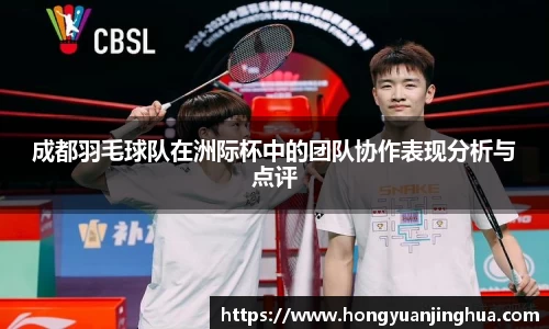 成都羽毛球队在洲际杯中的团队协作表现分析与点评